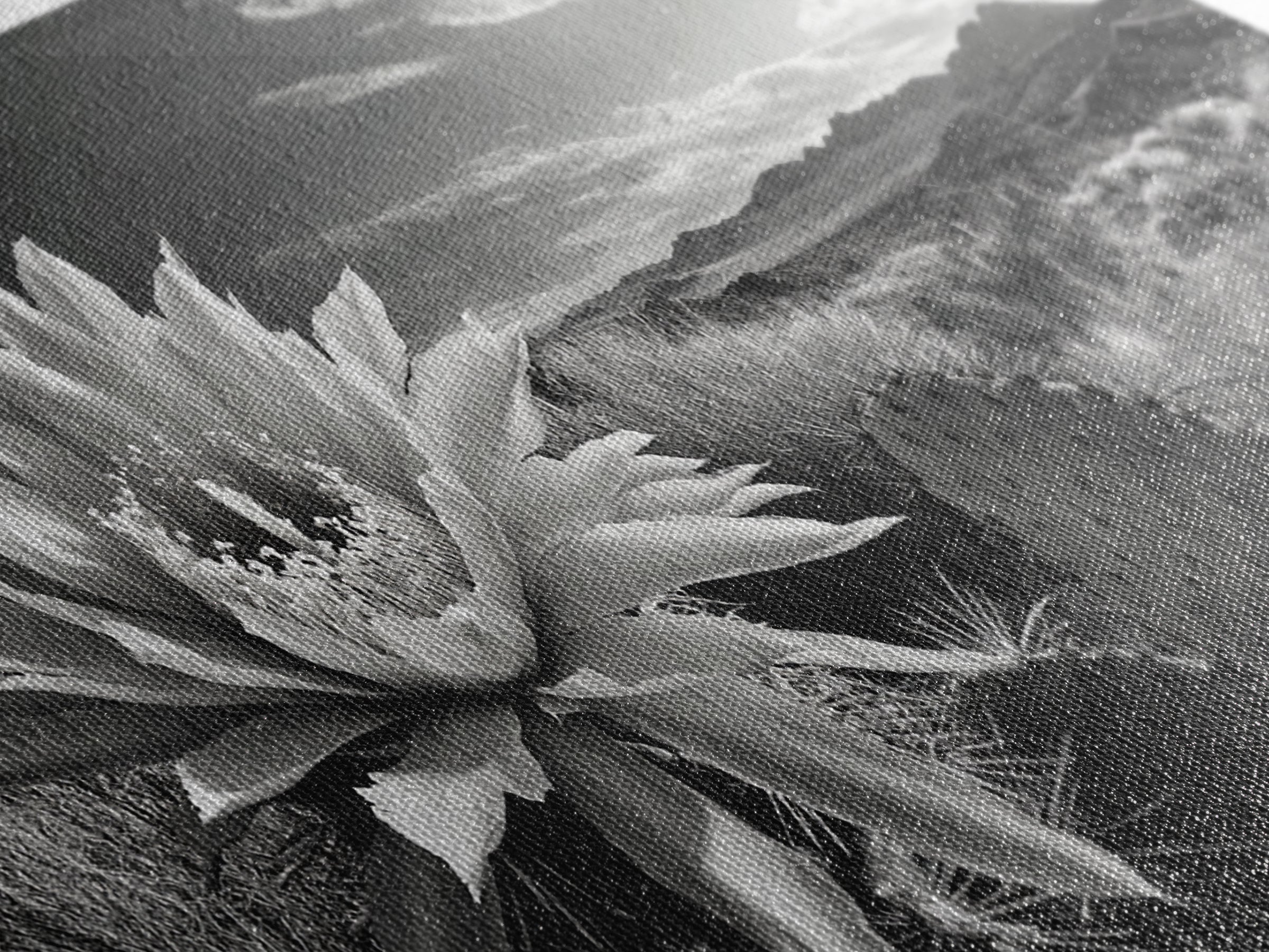 Cactus Bloom, botanical prints, wildflower painting, nature art, scenic mountain landscape, rustic wall art, southwest decor, Framed Canvas Print