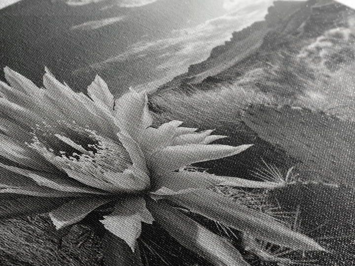 Cactus Bloom, botanical prints, wildflower painting, nature art, scenic mountain landscape, rustic wall art, southwest decor, Framed Canvas Print