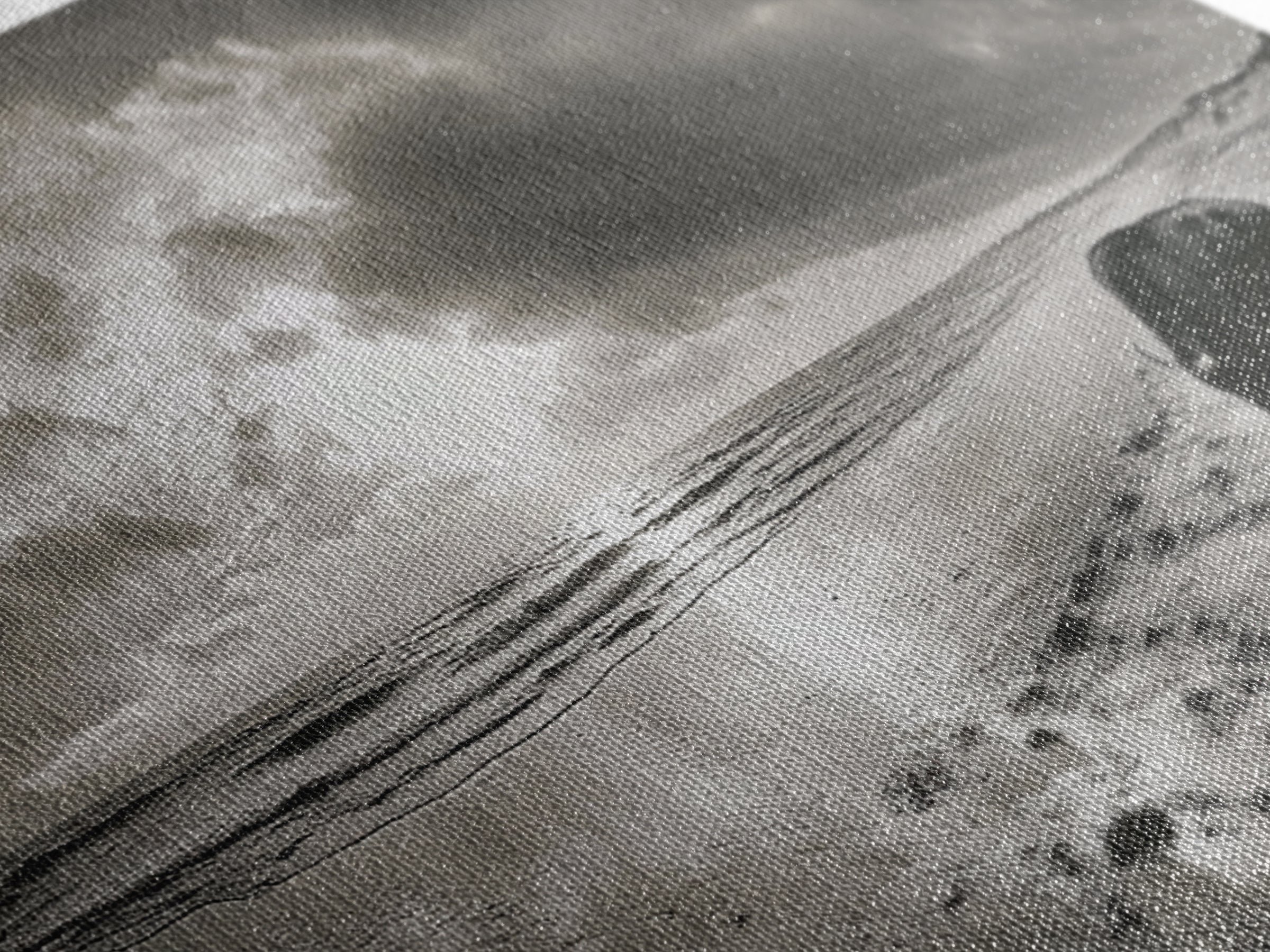 Buffalo, seascape painting, coastal landscape art, rustic decor, farmhouse art, panoramic painting, extra wide art, framed canvas print