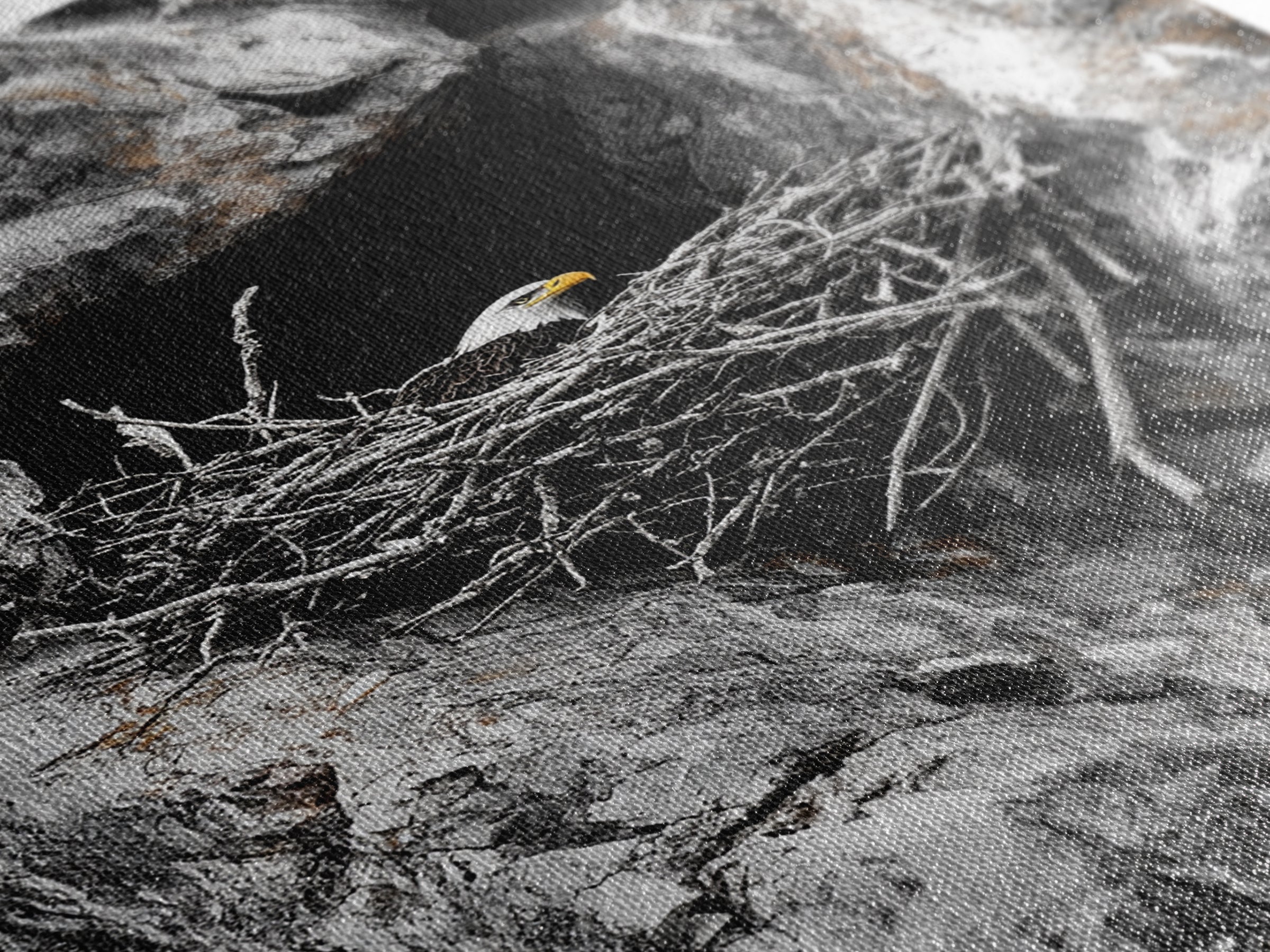 Bald eagle, wildlife art, bird wall art, framed canvas print, nature decor, mountain painting, eagle nest, rustic wall art, cabin decor