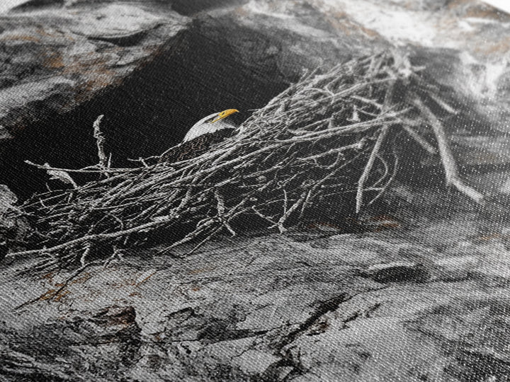 Bald eagle, wildlife art, bird wall art, framed canvas print, nature decor, mountain painting, eagle nest, rustic wall art, cabin decor