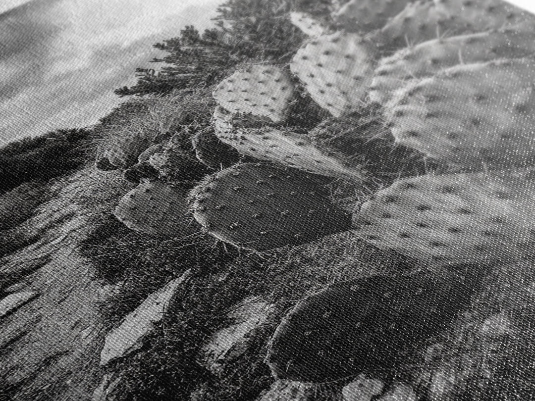 Cactus Trail, southwest wall art, rustic decor, desert painting, wabi sabi art, nature landscape art, framed canvas print, farmhouse decor