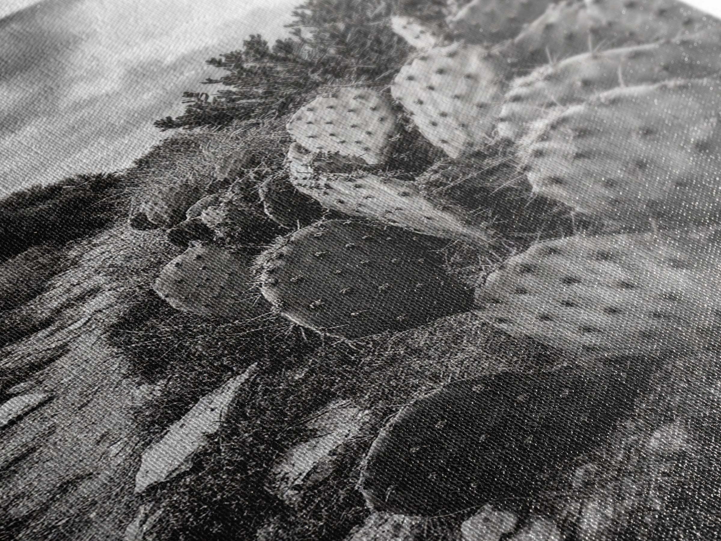 Cactus Trail, southwest wall art, rustic decor, desert painting, wabi sabi art, nature landscape art, framed canvas print, farmhouse decor