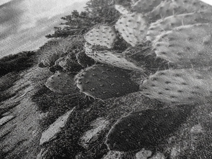 Cactus Trail, southwest wall art, rustic decor, desert painting, wabi sabi art, nature landscape art, framed canvas print, farmhouse decor