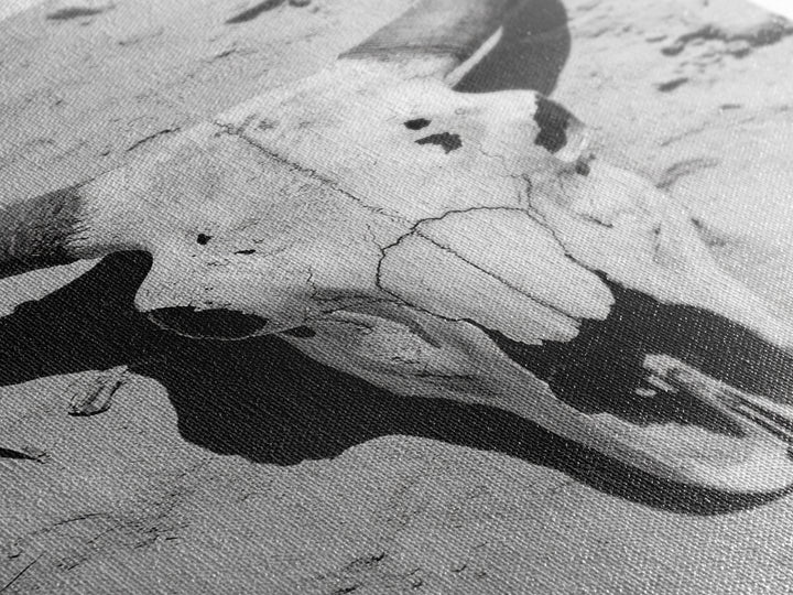 Bull skull, desert aesthetic, cowboy art, rustic decor, black and white photography, boho art, framed canvas print, western wall art