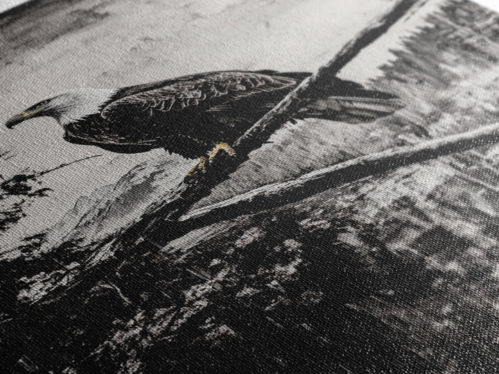 Bald Eagle, majestic bird, black and white, rustic decor, wildlife painting, nature art, framed canvas print, farmhouse wall art