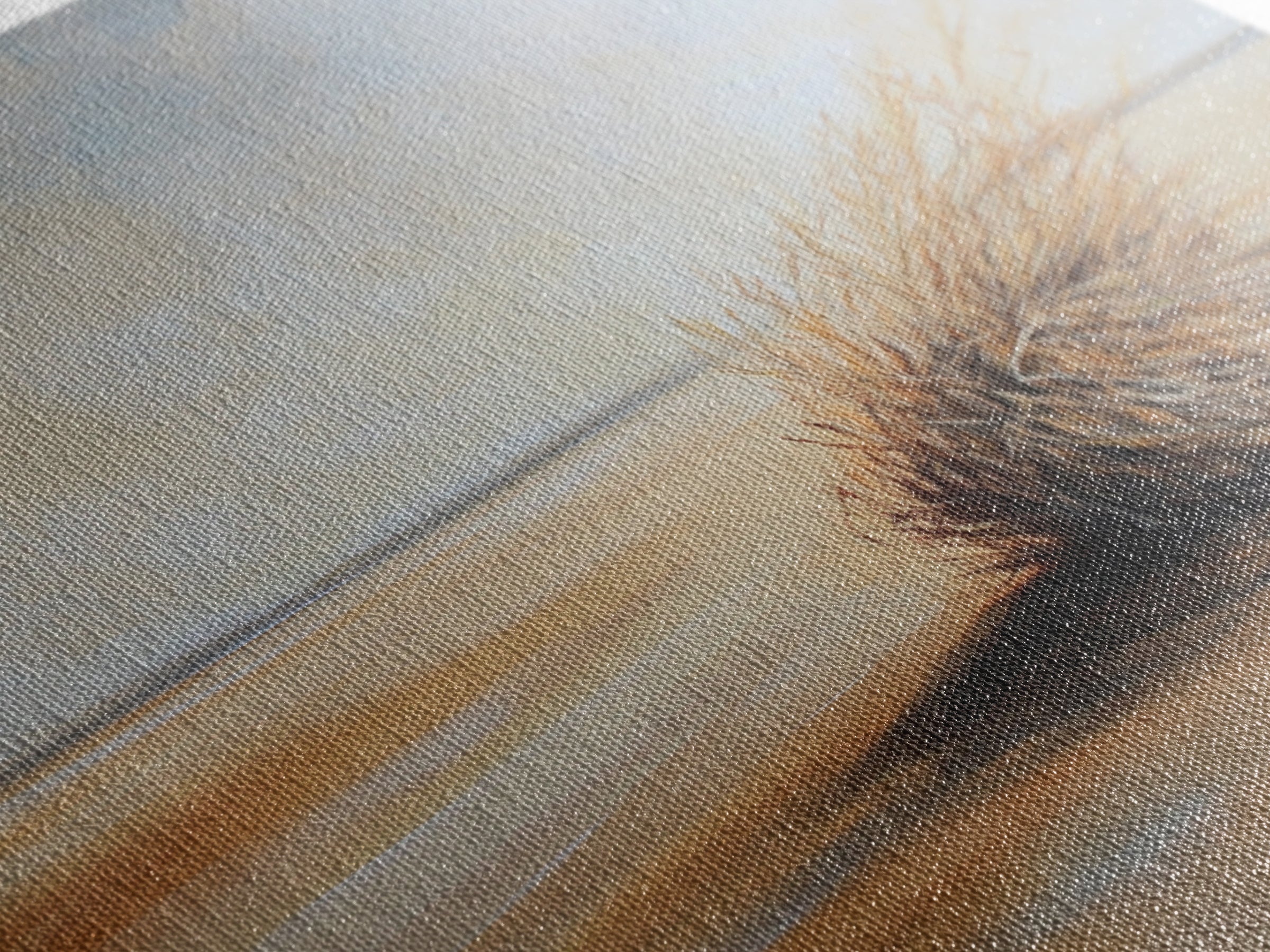 Desert Tumbleweed, southwest wall art, wabi sabi art, minimalist art, rustic decor, moody art, landscape painting, Canvas Print