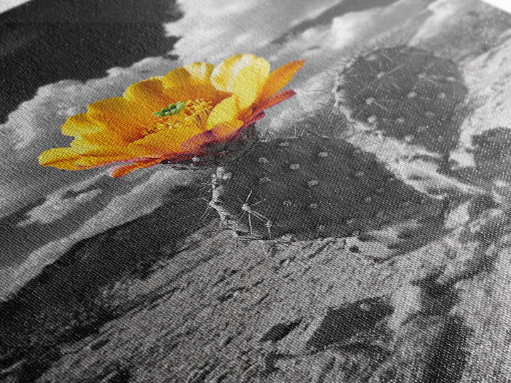 Desert Bloom, Wildflower Painting, Botanical Prints, Rustic Art, Southwest Wall Art, Nature Decor, Framed Canvas Print, Gift Idea