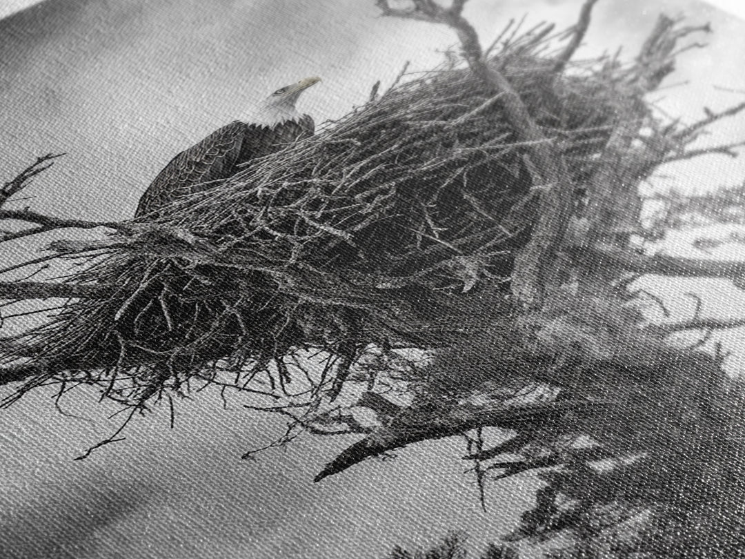 Bald Eagle, bird art, nature photography, moody art, rustic decor, patriotic wall art, black and white, framed canvas print, wildlife art