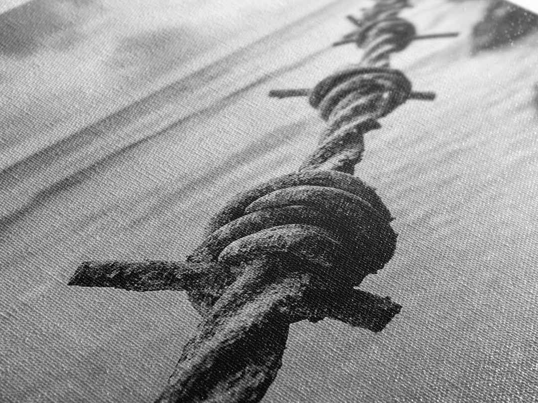 Barbed Wire, ocean view, rustic decor, coastal cowgirl wall art, wabi sabi art, moody photography, framed canvas print, minimalist art