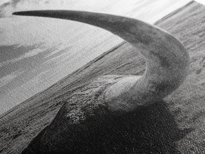 Lone Horn, desert minimalism, rustic western art, wabi sabi decor, moody photography, framed canvas print, black and white, southwest art