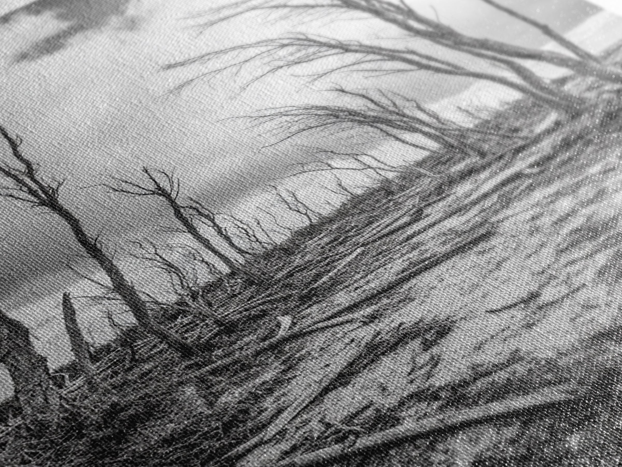 Windblown Trees, stormy sky, moody landscape, wabi sabi art, black and white, framed canvas print, rustic decor, nature photography
