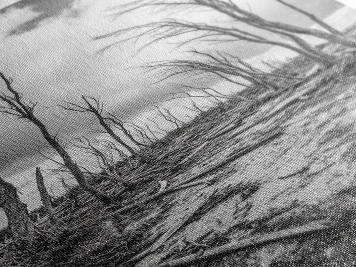 Windblown Trees, stormy sky, moody landscape, wabi sabi art, black and white, framed canvas print, rustic decor, nature photography