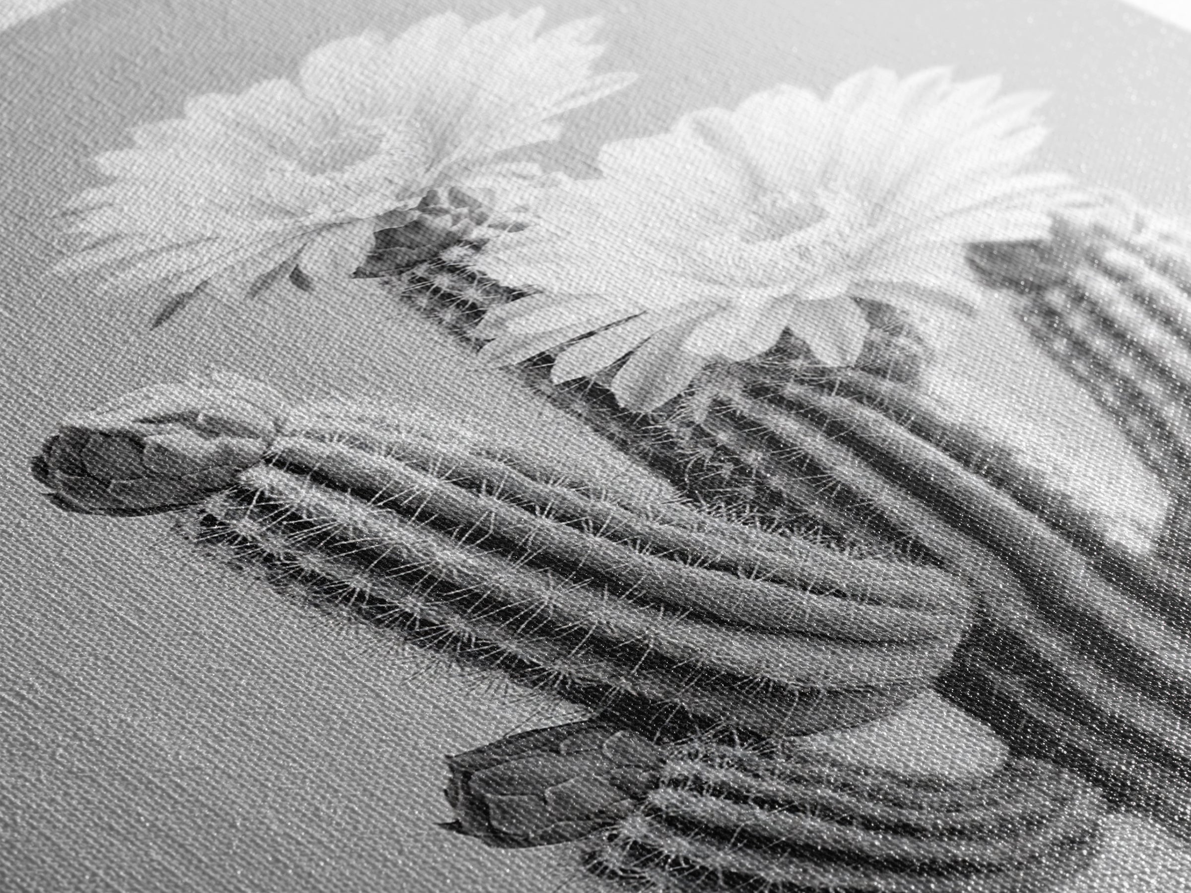 Cactus Bloom, desert botanical, minimalist art, black and white, southwest wall art, framed canvas print, vertical wall art, moody art