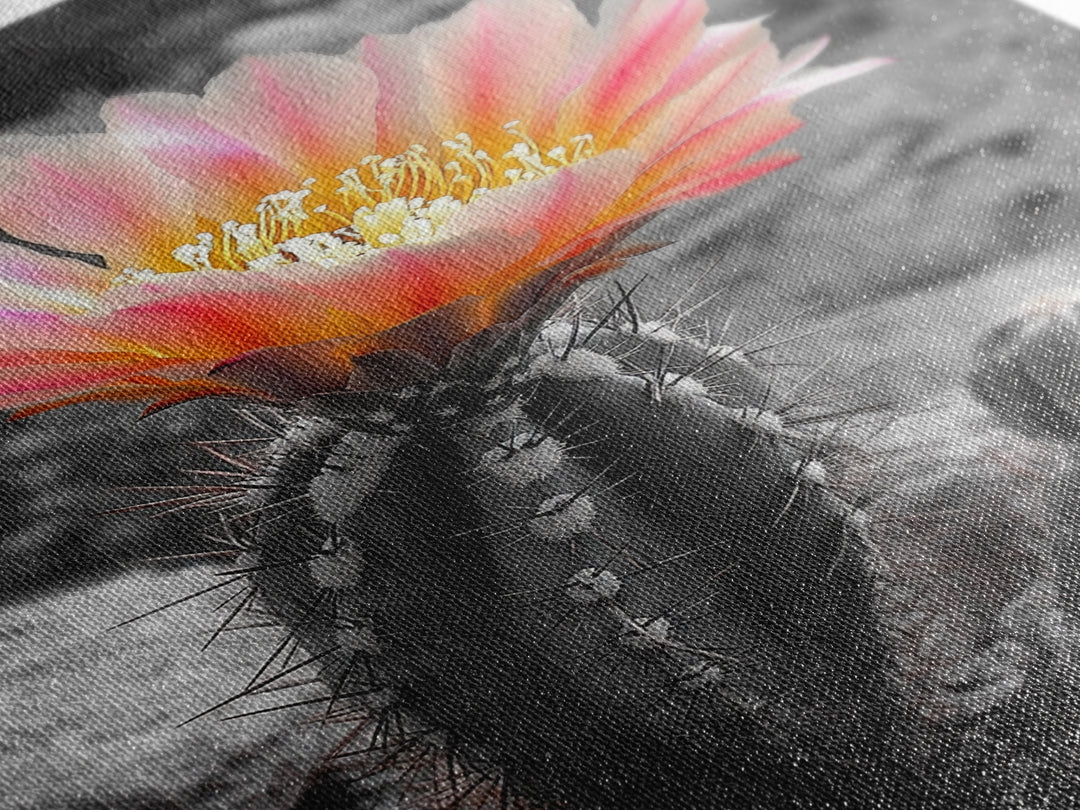 Blooming cactus, botanical print, desert flora, framed canvas print, nature decor, succulent wall art, pink flowers, southwest painting