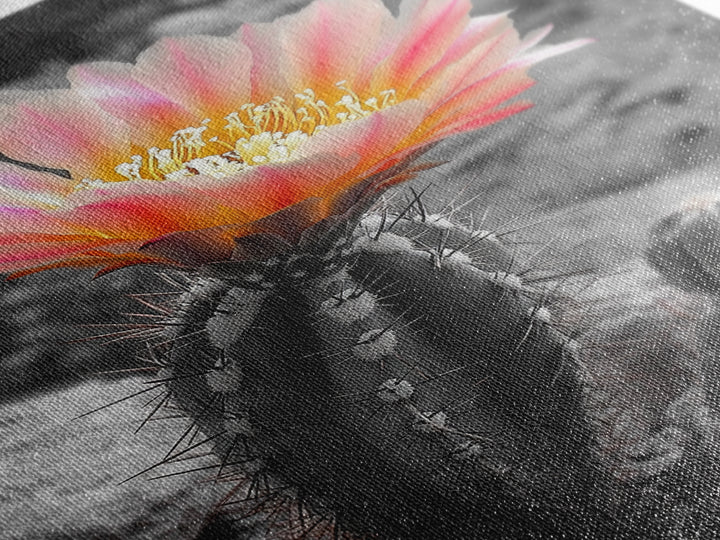 Blooming cactus, botanical print, desert flora, framed canvas print, nature decor, succulent wall art, pink flowers, southwest painting