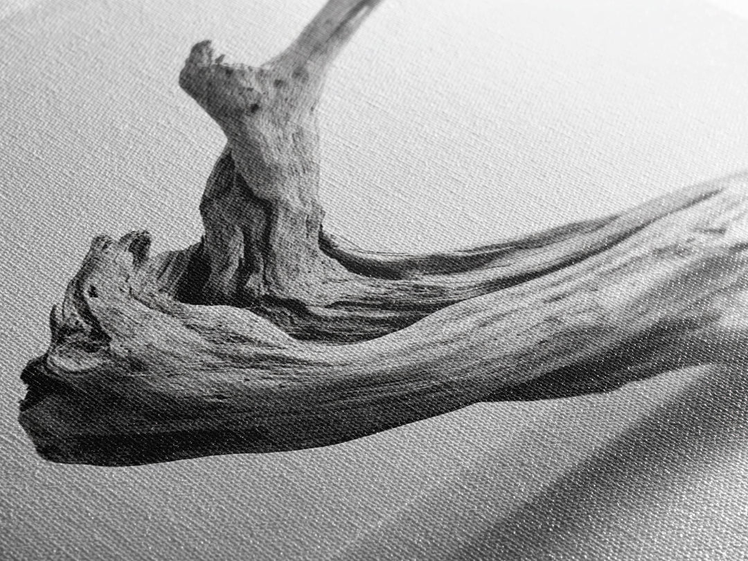 Driftwood Sculpture, wabi sabi art, rustic decor, minimalist art, botanical prints, farmhouse art, framed canvas print, living room art