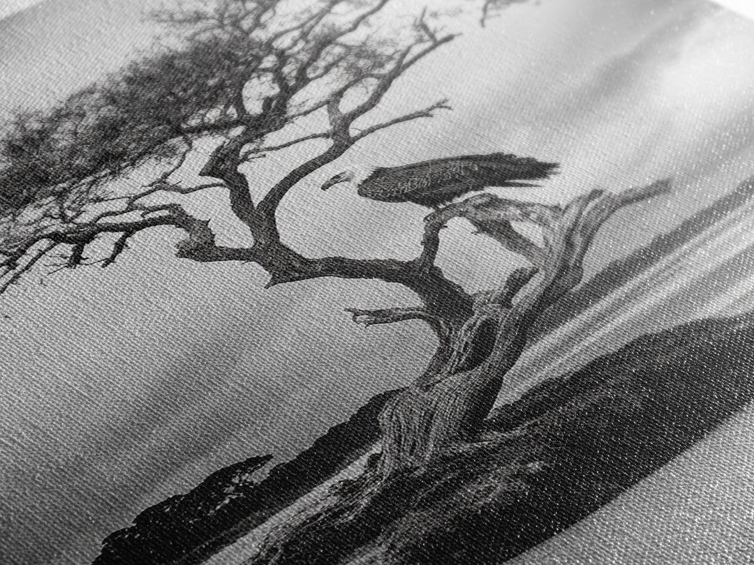 Bald eagle, nature wall art, moody art, wildlife photography, tree art, black and white art, above bed wall art, framed canvas print