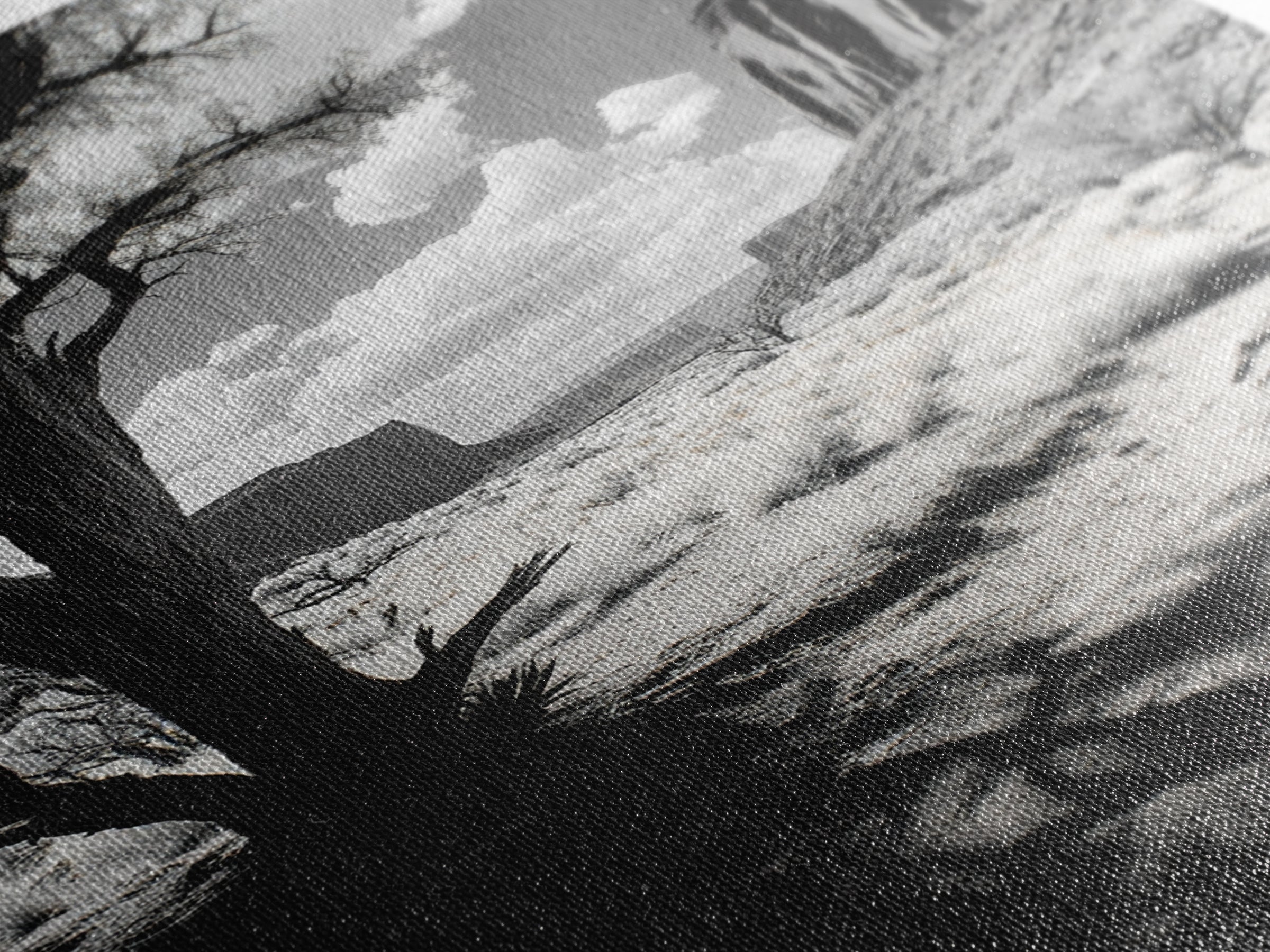 Desert landscape, Joshua tree art, western wall art, framed canvas print, southwest decor, black and white nature, rustic desert scene