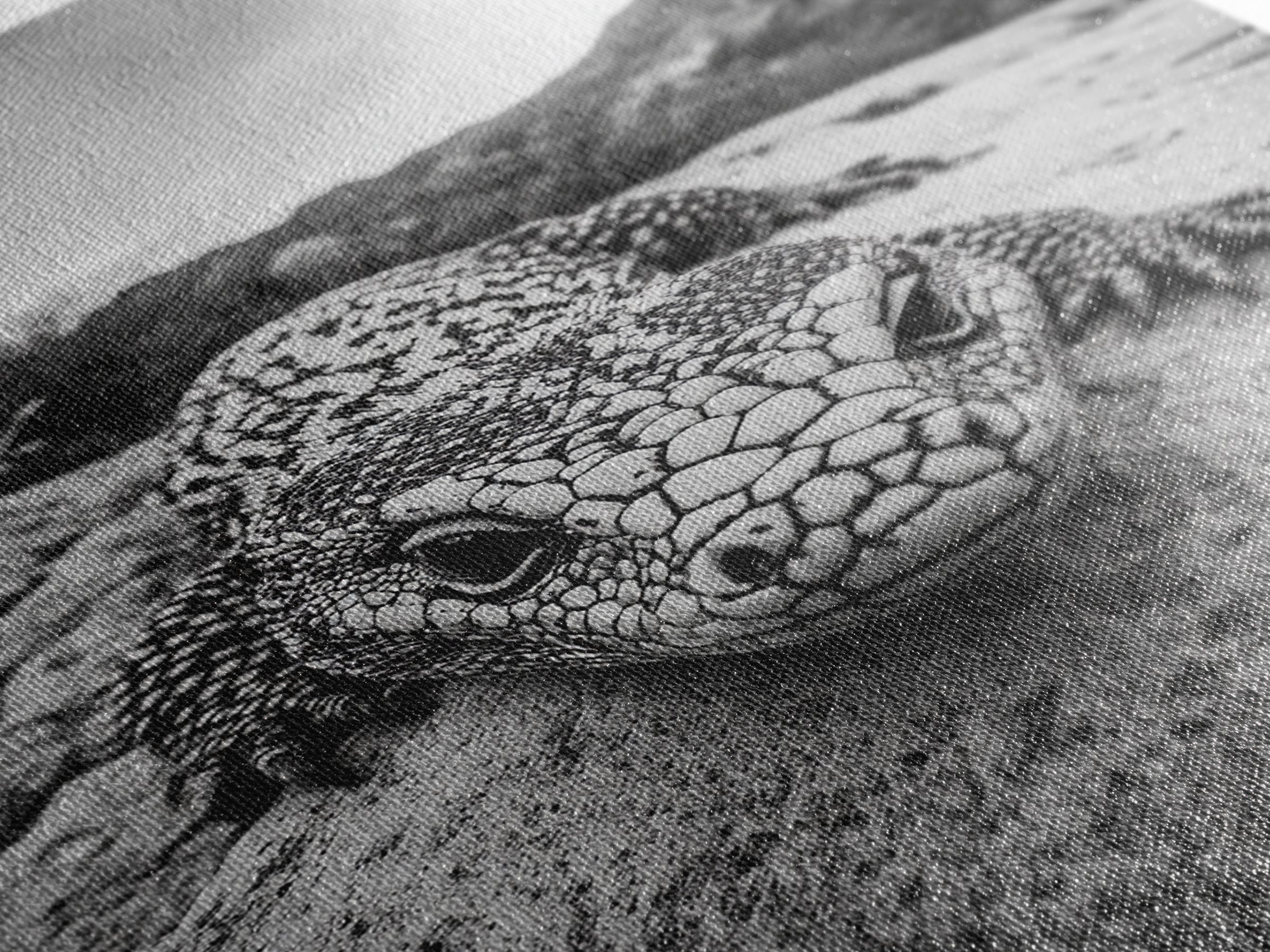Lizard art, wildlife photography, moody art, desert decor, black and white photography, wabi sabi wall art, framed canvas print, unique gift