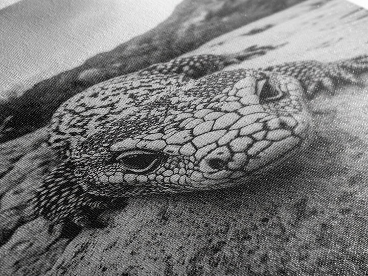 Lizard art, wildlife photography, moody art, desert decor, black and white photography, wabi sabi wall art, framed canvas print, unique gift
