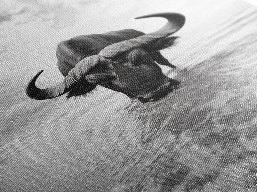 Buffalo art, bull and bear art, moody photography, black and white wall art, unique wildlife art, wabi sabi art, canvas print, farmhouse decor