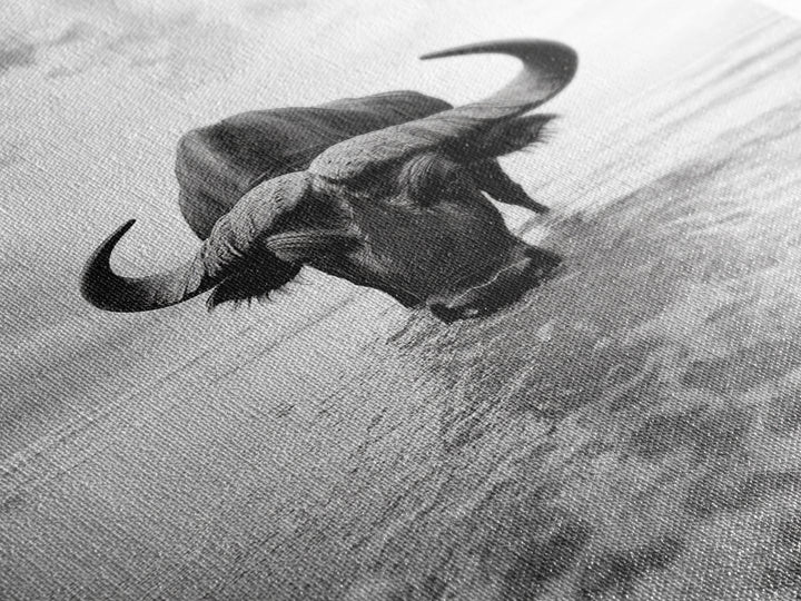 Buffalo art, bull and bear art, moody photography, black and white wall art, unique wildlife art, wabi sabi art, canvas print, farmhouse decor