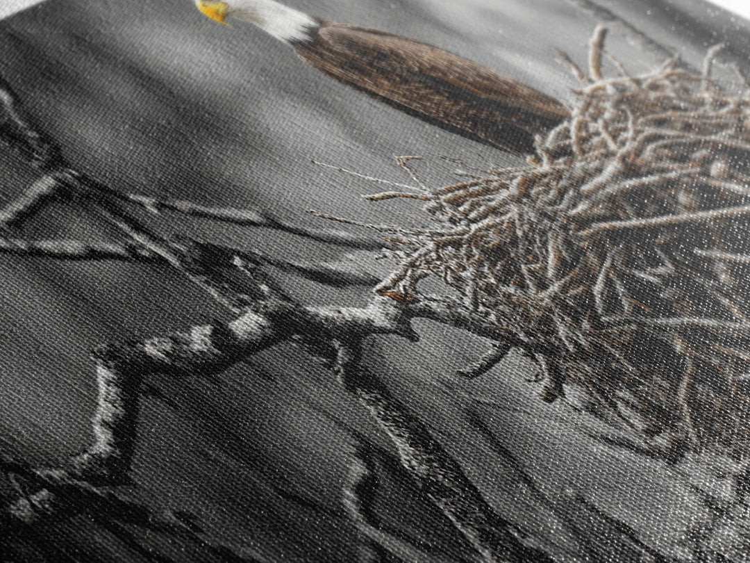 Bald Eagle, Nature Wall Art, Rustic Art, Wildlife Photography, Bird Art, Above Sofa Art, Panoramic Art, Framed Canvas Print