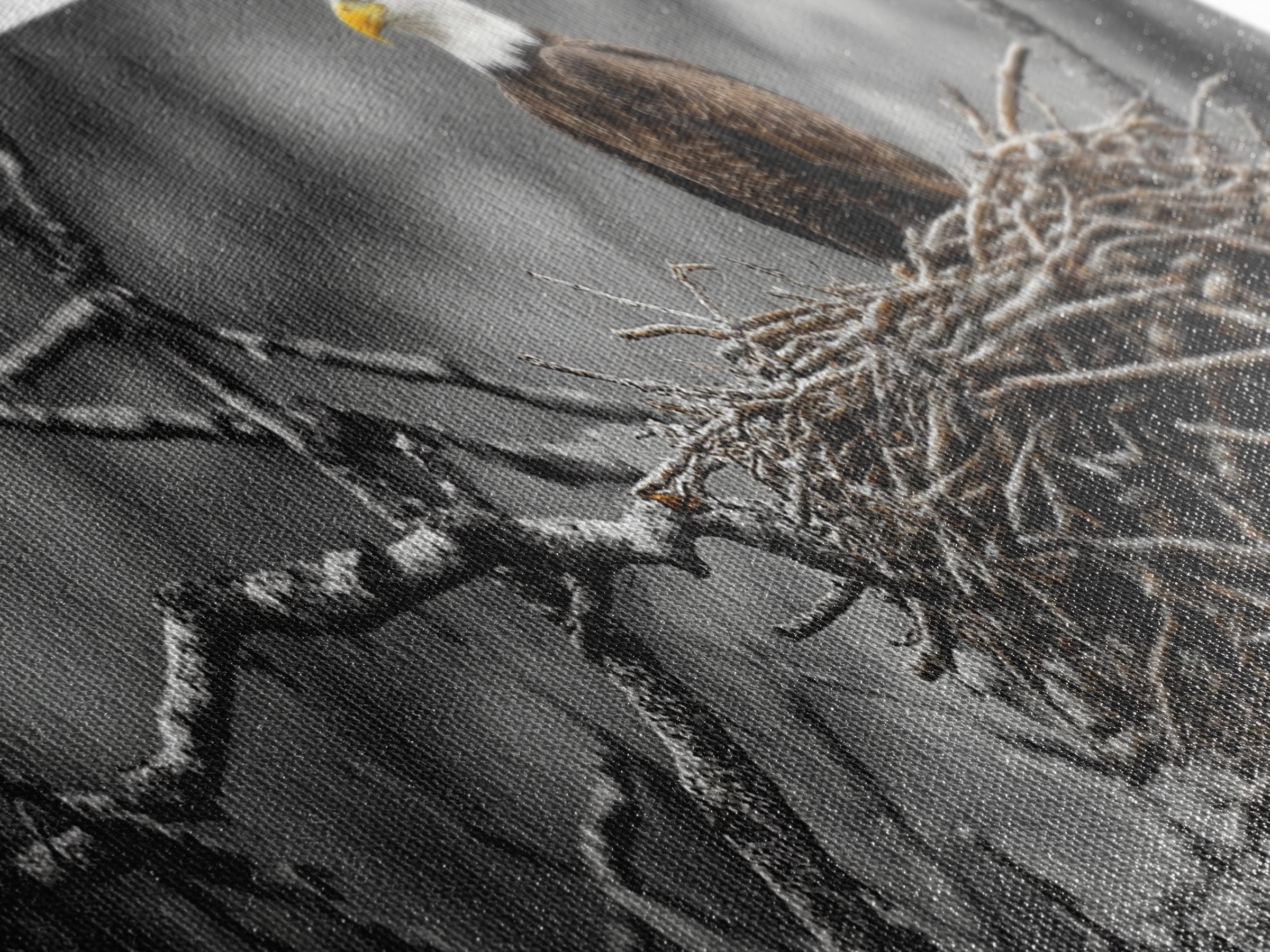 Bald Eagle, Nature Wall Art, Rustic Art, Wildlife Photography, Bird Art, Above Sofa Art, Panoramic Art, Framed Canvas Print