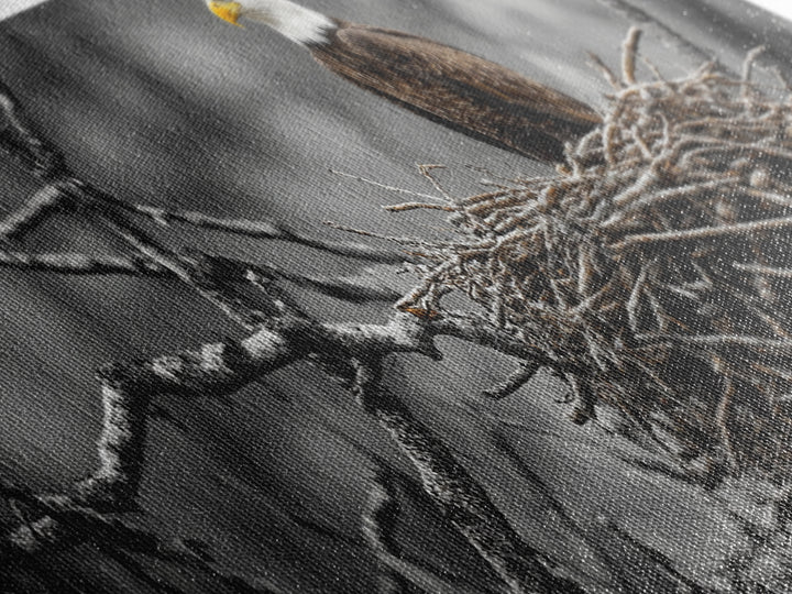 Bald Eagle, Nature Wall Art, Rustic Art, Wildlife Photography, Bird Art, Above Sofa Art, Panoramic Art, Framed Canvas Print