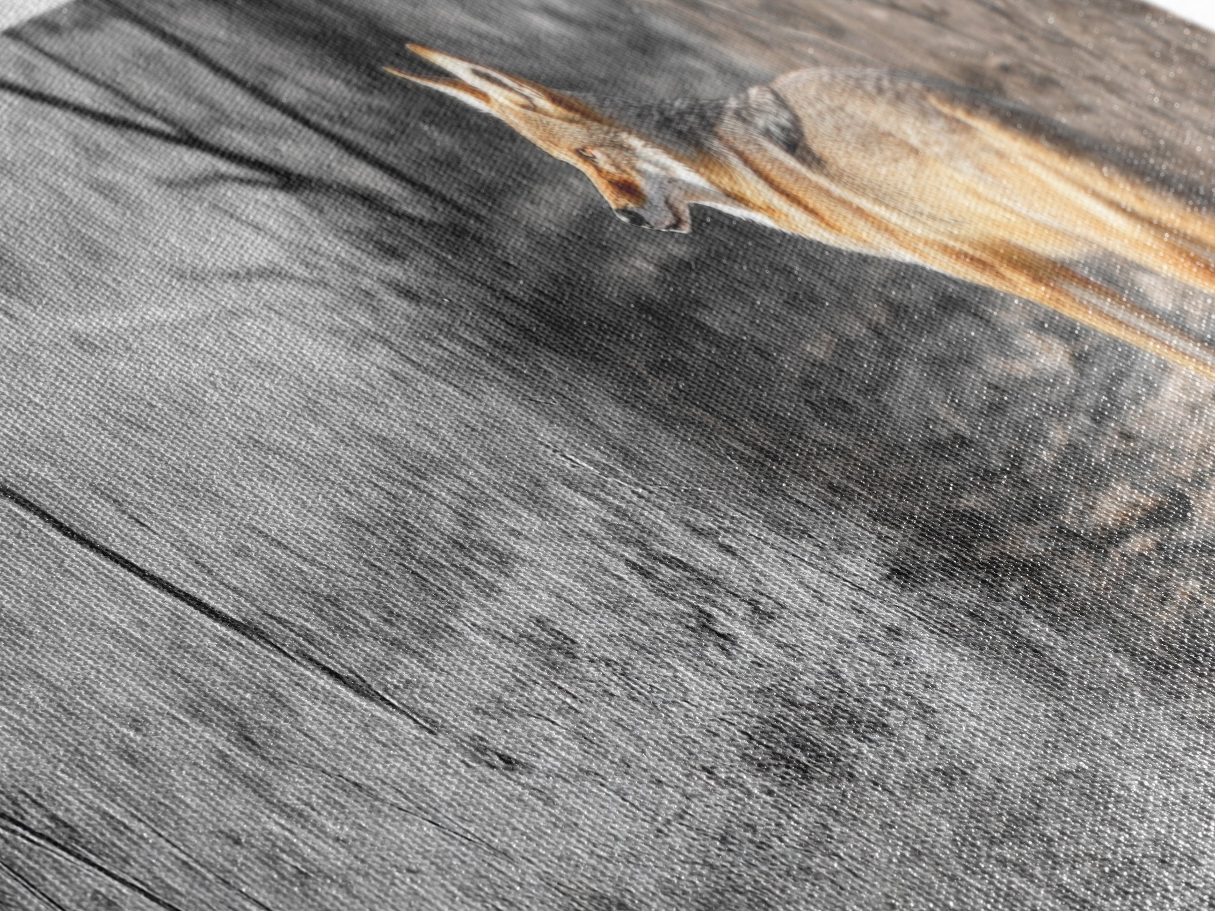 Coyote in Forest, Wildlife Wall Art, Rustic Decor, Nature Art, Moody Art, Extra Wide Art, Panoramic Art, Framed Canvas Print