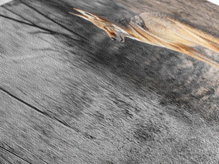 Coyote in Forest, Wildlife Wall Art, Rustic Decor, Nature Art, Moody Art, Extra Wide Art, Panoramic Art, Framed Canvas Print