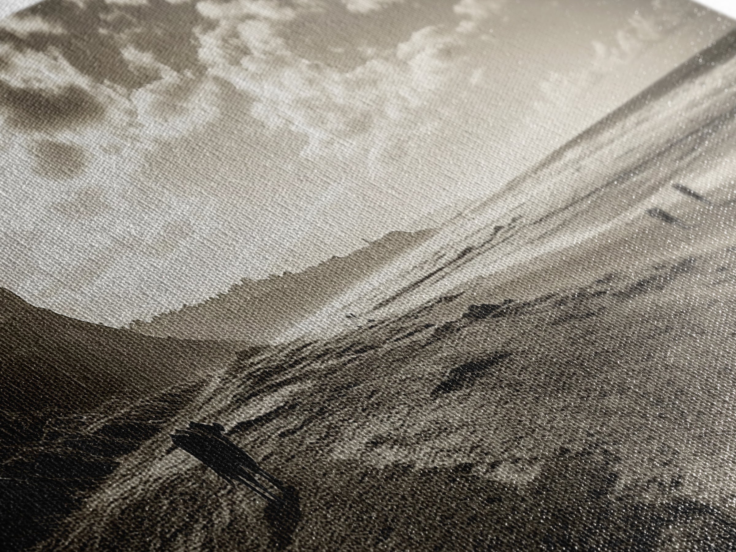 Cattle On Beach, Wabi Sabi Art, Framed Canvas Print, Coastal Landscape Art, Rustic Decor, Extra Wide Art, Moody Art, Minimalist Art