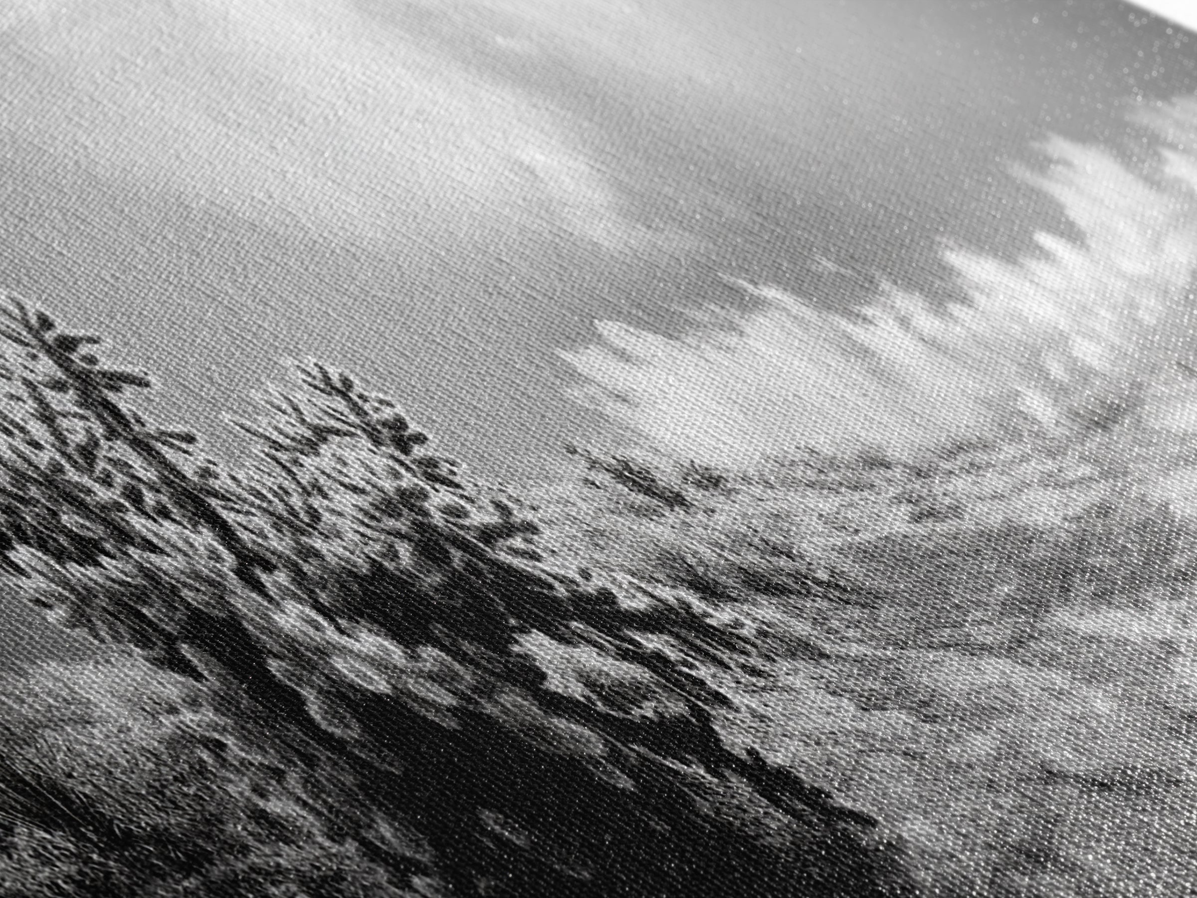 Desert Cactus, Southwest Wall Art, Canvas Print, Joshua Tree Art, Rustic Decor, Extra Wide Art, Moody Black And White Art, Above Sofa Art