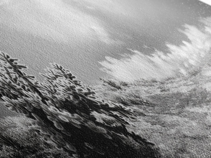 Desert Cactus, Southwest Wall Art, Canvas Print, Joshua Tree Art, Rustic Decor, Extra Wide Art, Moody Black And White Art, Above Sofa Art