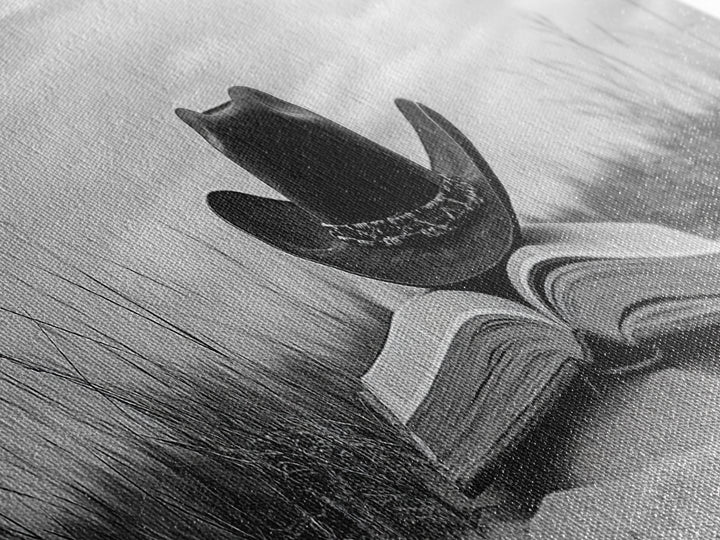 Cowboy Hat, wabi sabi art, rustic decor, farmhouse art, moody art, extra wide art, coastal wall art, framed canvas print, boho art