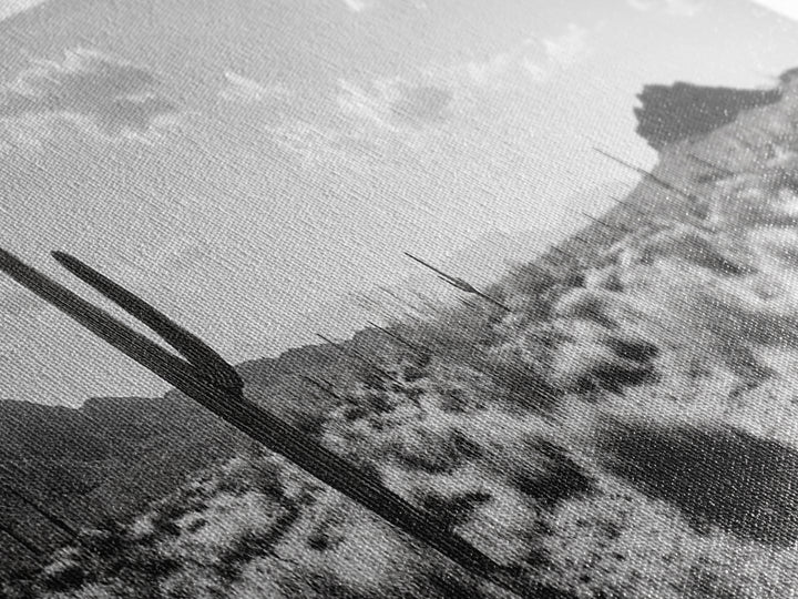 Desert Cactus, Joshua tree art, southwest wall art, extra wide art, wabi sabi art, rustic wall art, framed canvas print, panoramic art