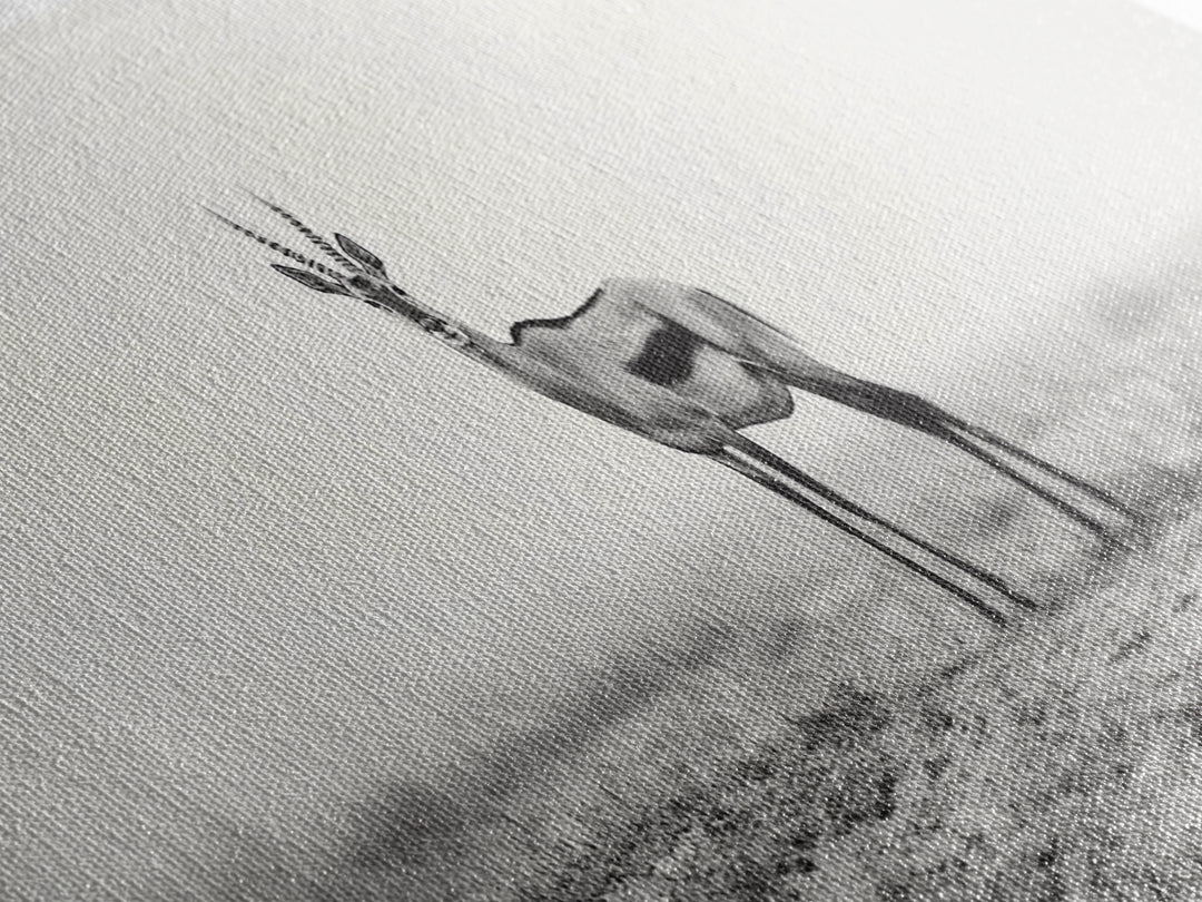 Lone Gazelle, moody art, southwest wall art, extra wide art, wabi sabi art, minimalist art, framed canvas print, panoramic painting