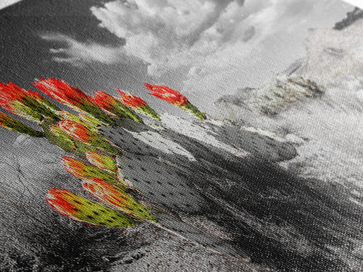 Cactus Blooms, Desert Art, Southwest Wall Art, Botanical Prints, Wildflower Painting, Extra Wide Art, Framed Canvas Print