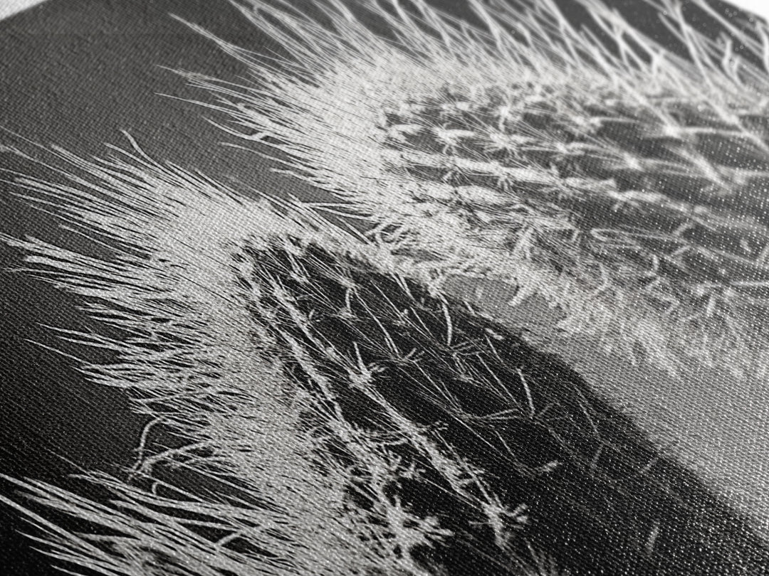 Desert Cactus, southwest wall art, moody art, Joshua tree art, extra wide wall art, nature photography, framed canvas print