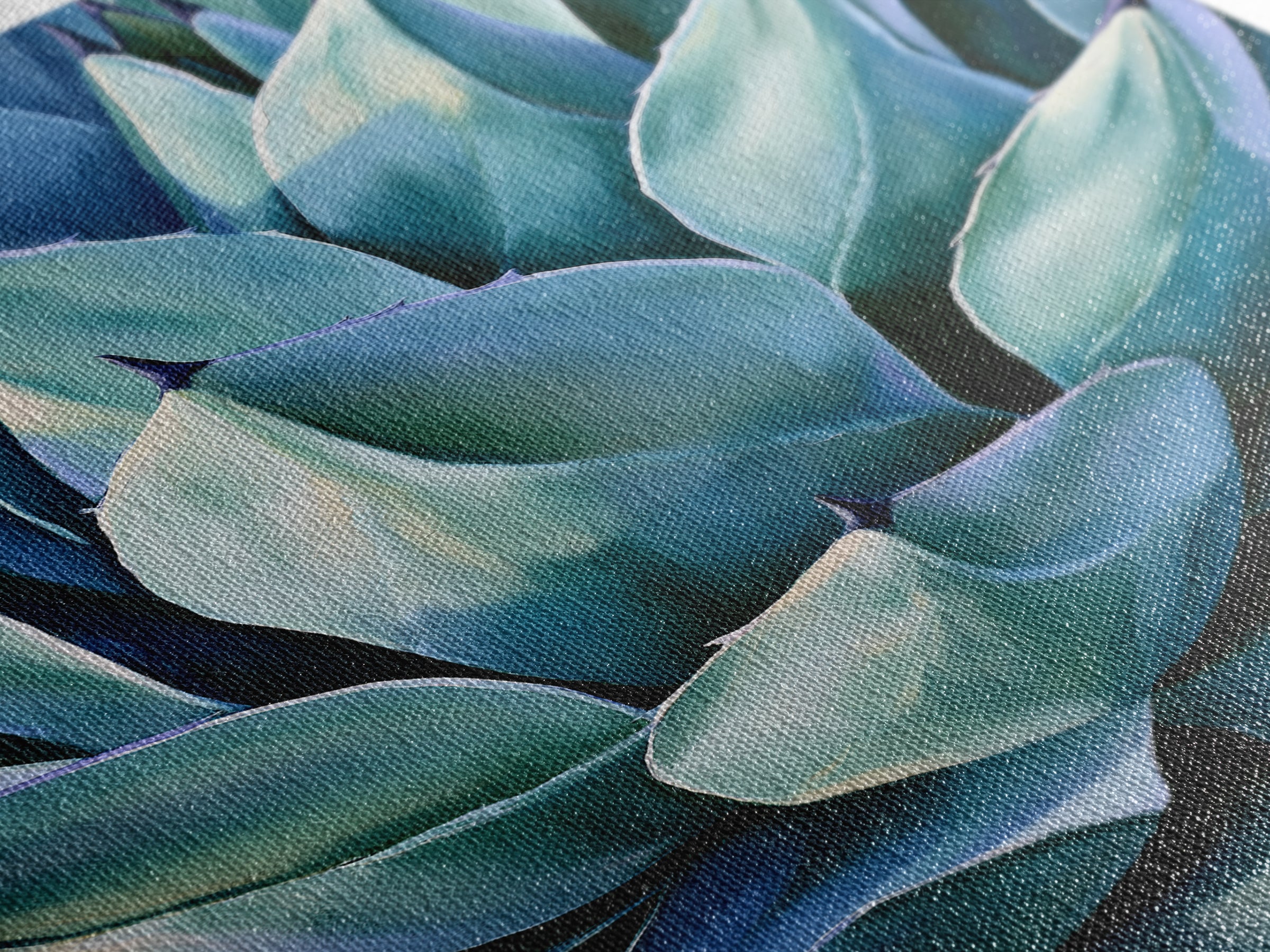 Agave Plant Closeup Framed Canvas Print, Southwestern Art, Western Wall Art, Southwestern Decor, Fine Art, Mesa, Gallery Decor, SOU-2x3-93