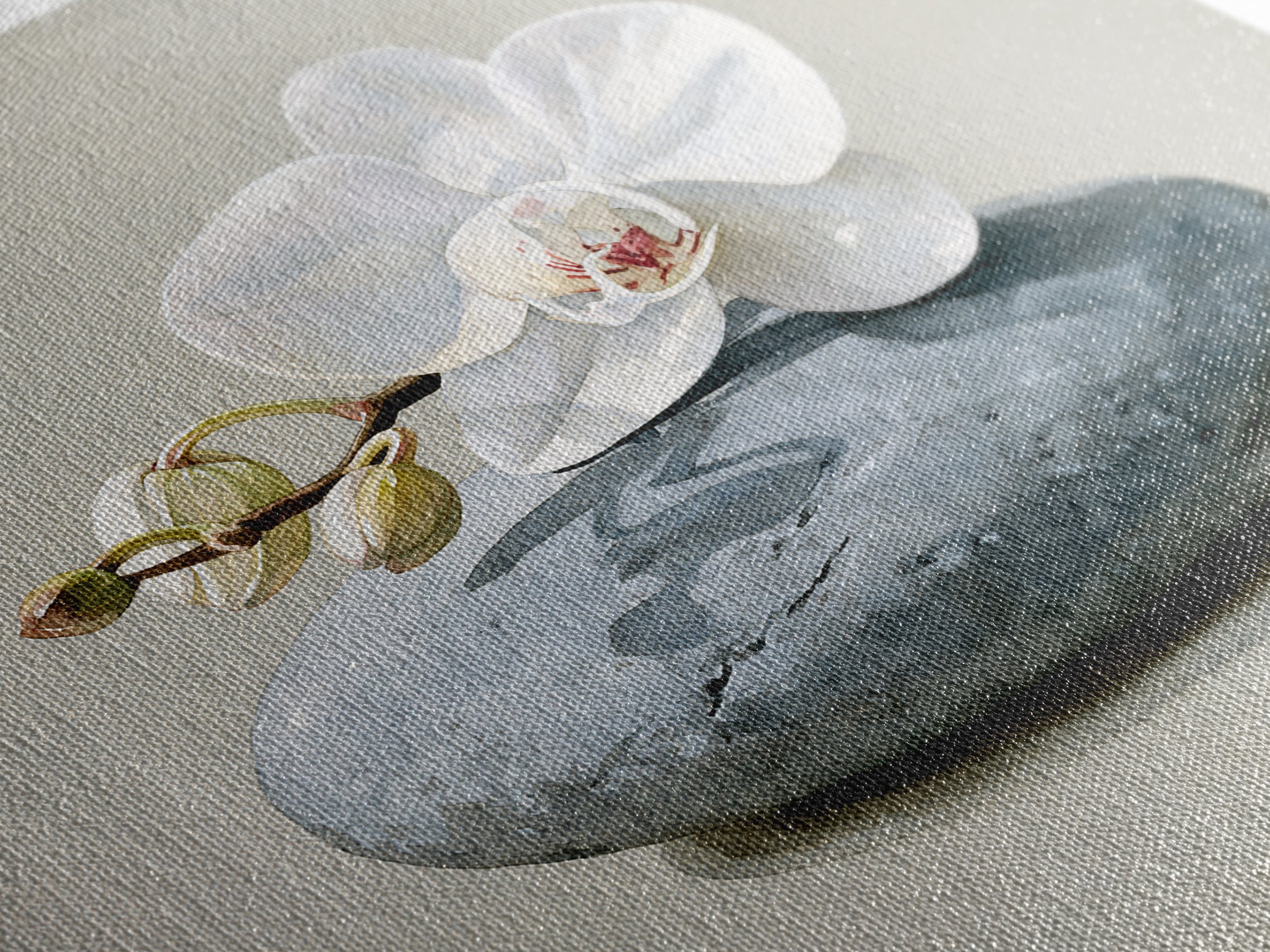 White Orchid on Smooth Gray Stone Canvas Print, Spa Art, Tarot Card Art, Spa Decor, Fine Art, Serenity, Textured Painting, SPA-1x1-26
