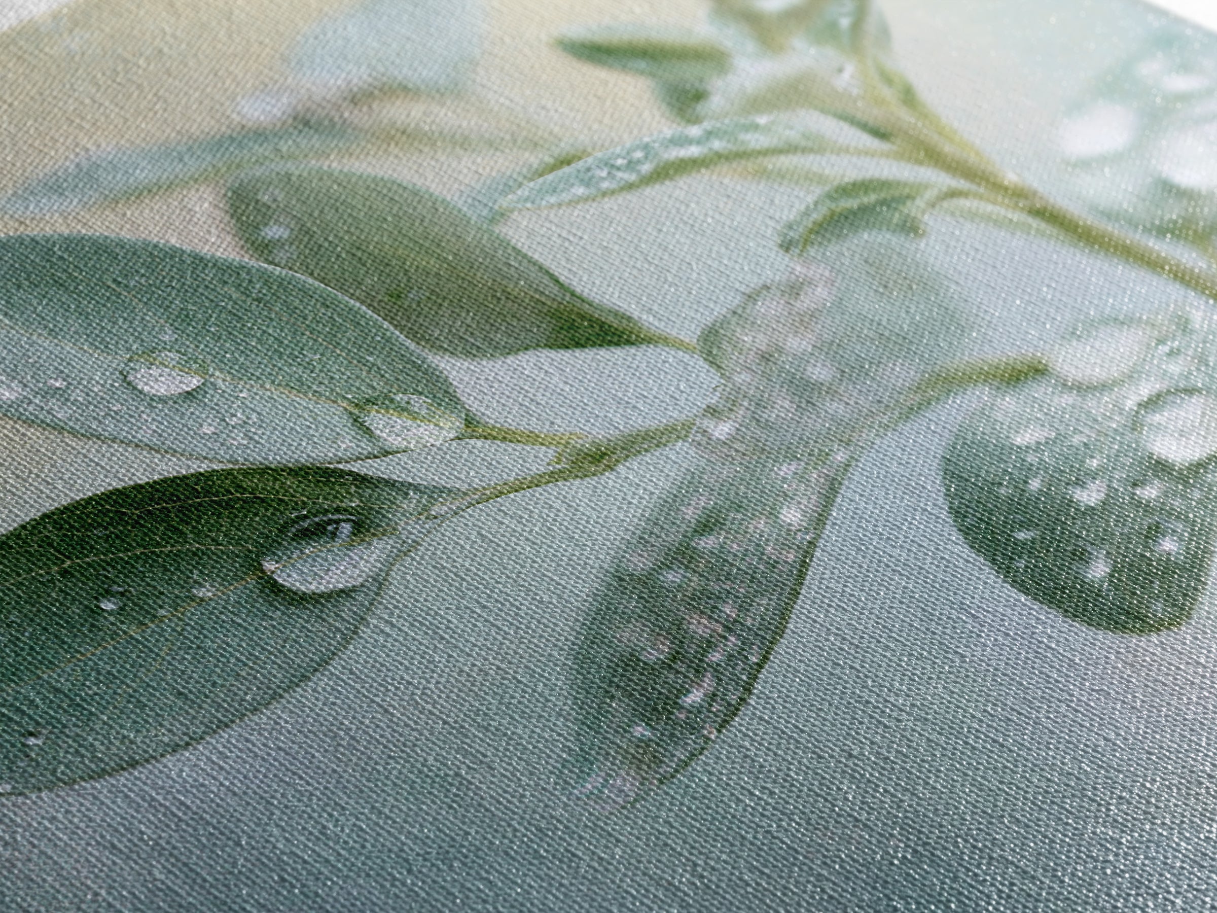 Rain on Leaves Framed Canvas Print, Spa Art, Art Print, Spa Decor, Serenity, Botanical Art, Nature Prints, Travel Poster, SPA-1x1-40