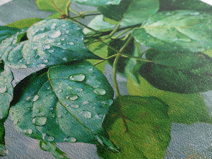 Rain on Leaves Framed Canvas Print, Spa Art, Animal Art, Spa Decor, Fine Art, Serenity, Gallery Decor, Neutral Decor, SPA-1x1-64