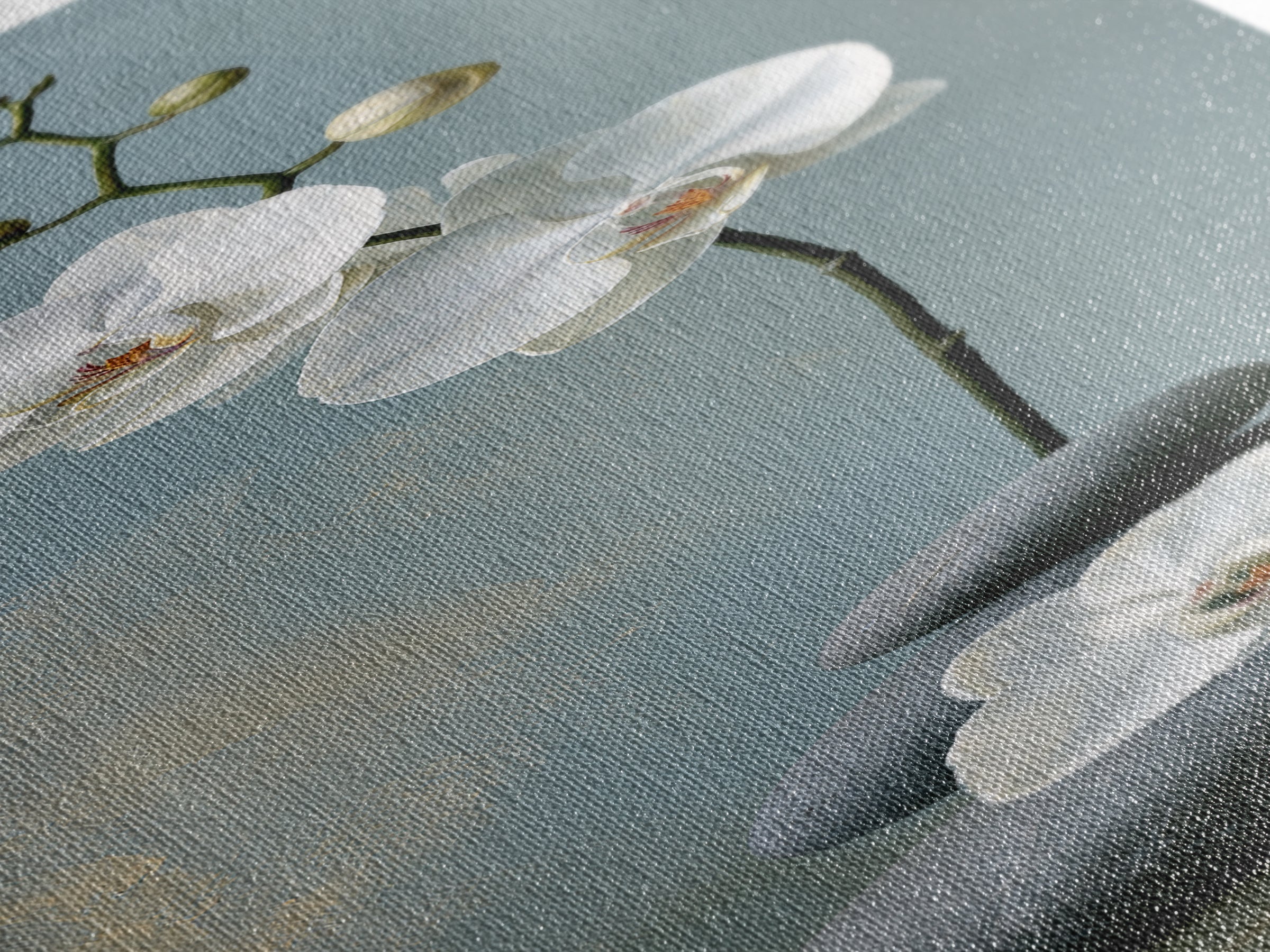 White Orchid on Smooth Gray Stone Canvas Print, Spa Art, Gallery Decor, Spa Decor, Fine Art, Serenity, Wall Art, Home Decor, SPA-1x3-38