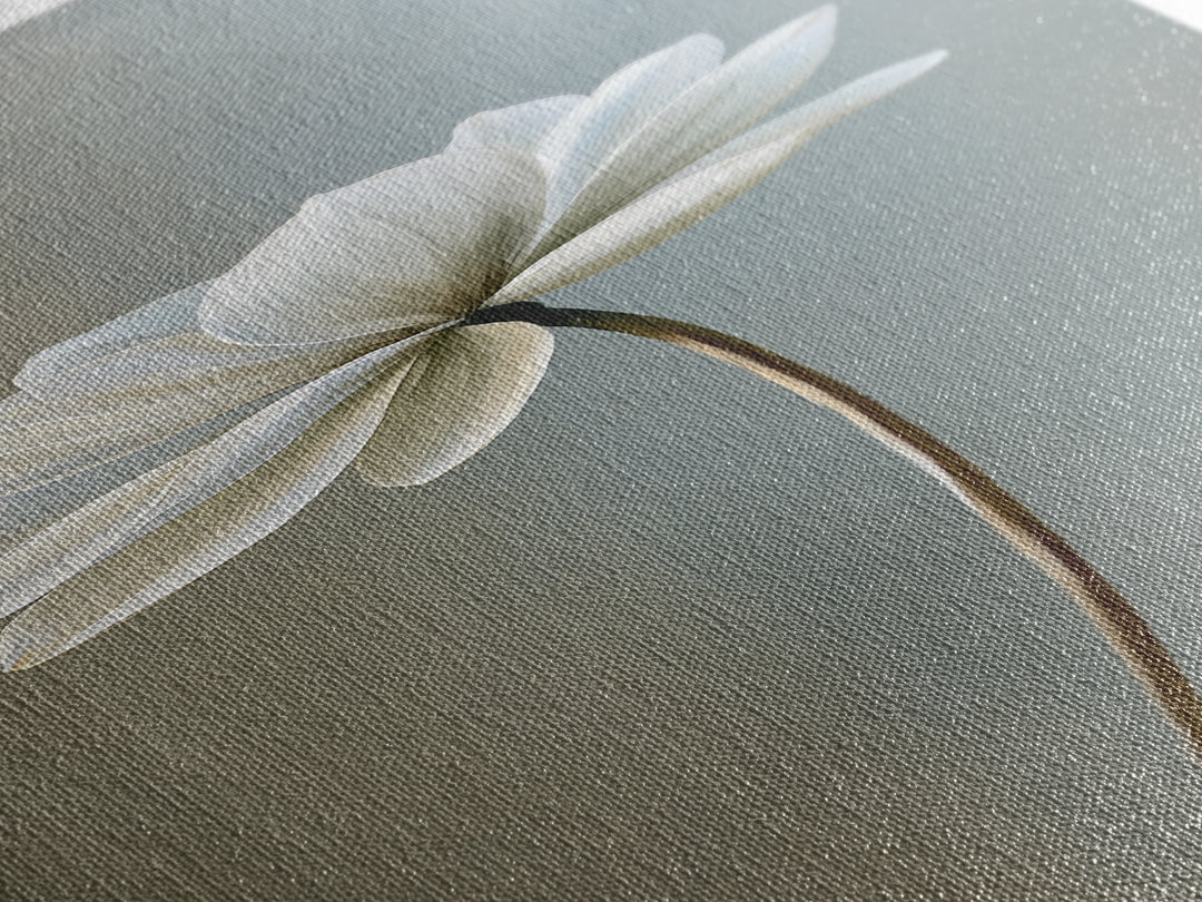Single White Flower on Linen Ground Framed Canvas Print, Spa Art, Room Decor, Spa Decor, Fine Art, Serenity, Nature Prints, SPA-1x3-53