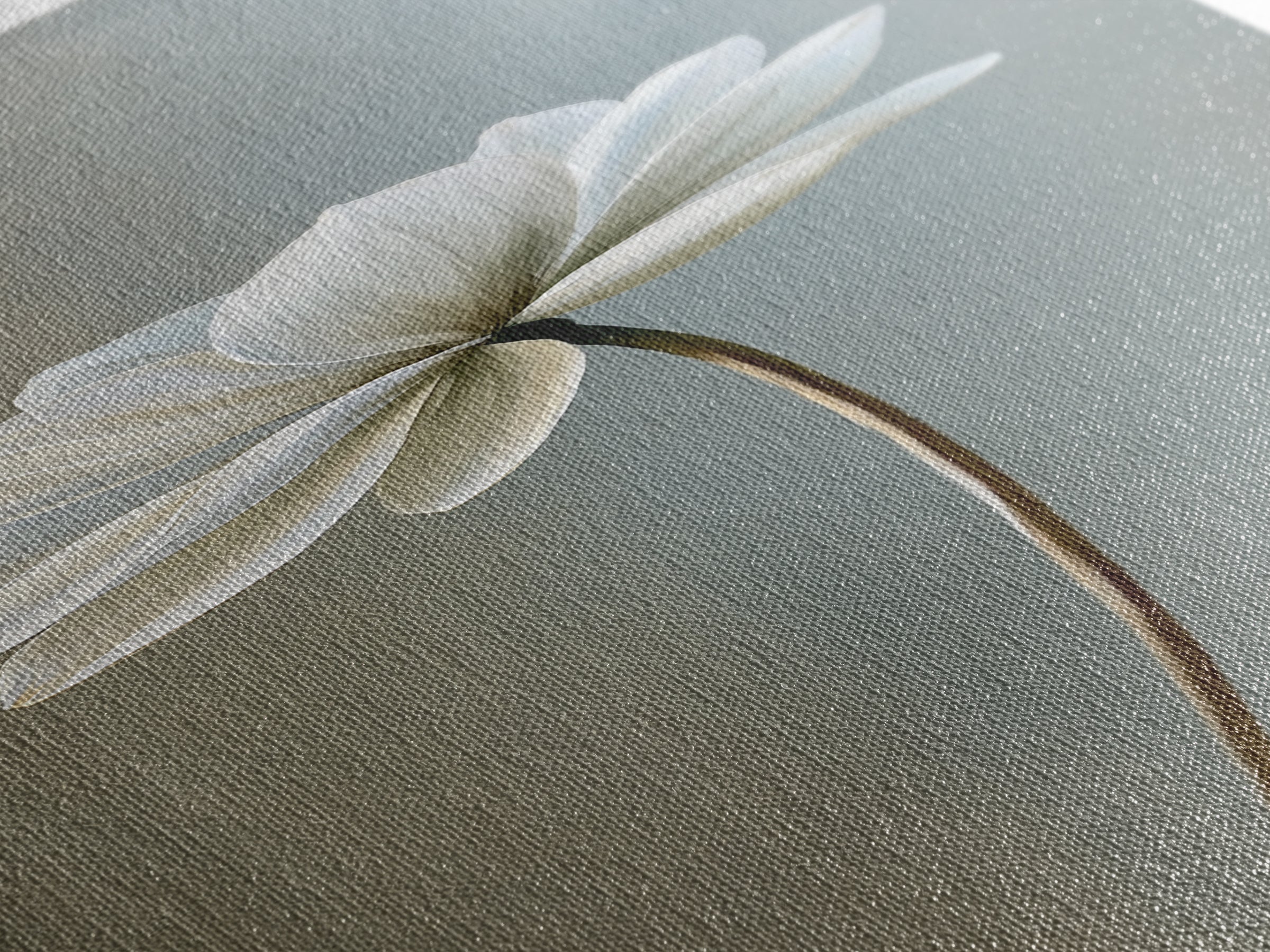 Single White Flower on Linen Ground Framed Canvas Print, Spa Art, Room Decor, Spa Decor, Fine Art, Serenity, Nature Prints, SPA-1x3-53