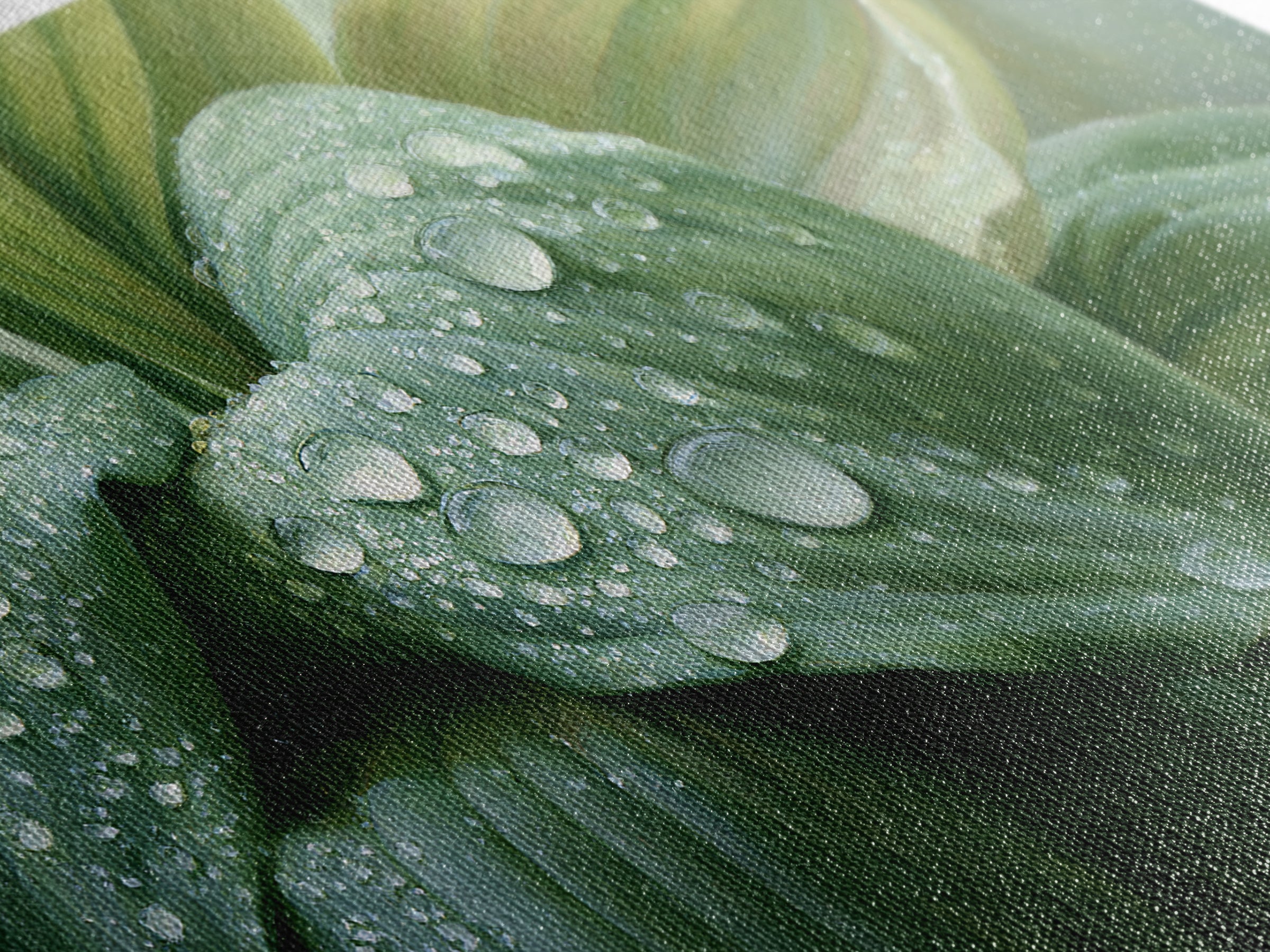 Rain on Leaves Framed Canvas Print, Spa Art, Art Print, Spa Decor, Serenity, Botanical Art, Nature Prints, Travel Poster, SPA-2x1-12