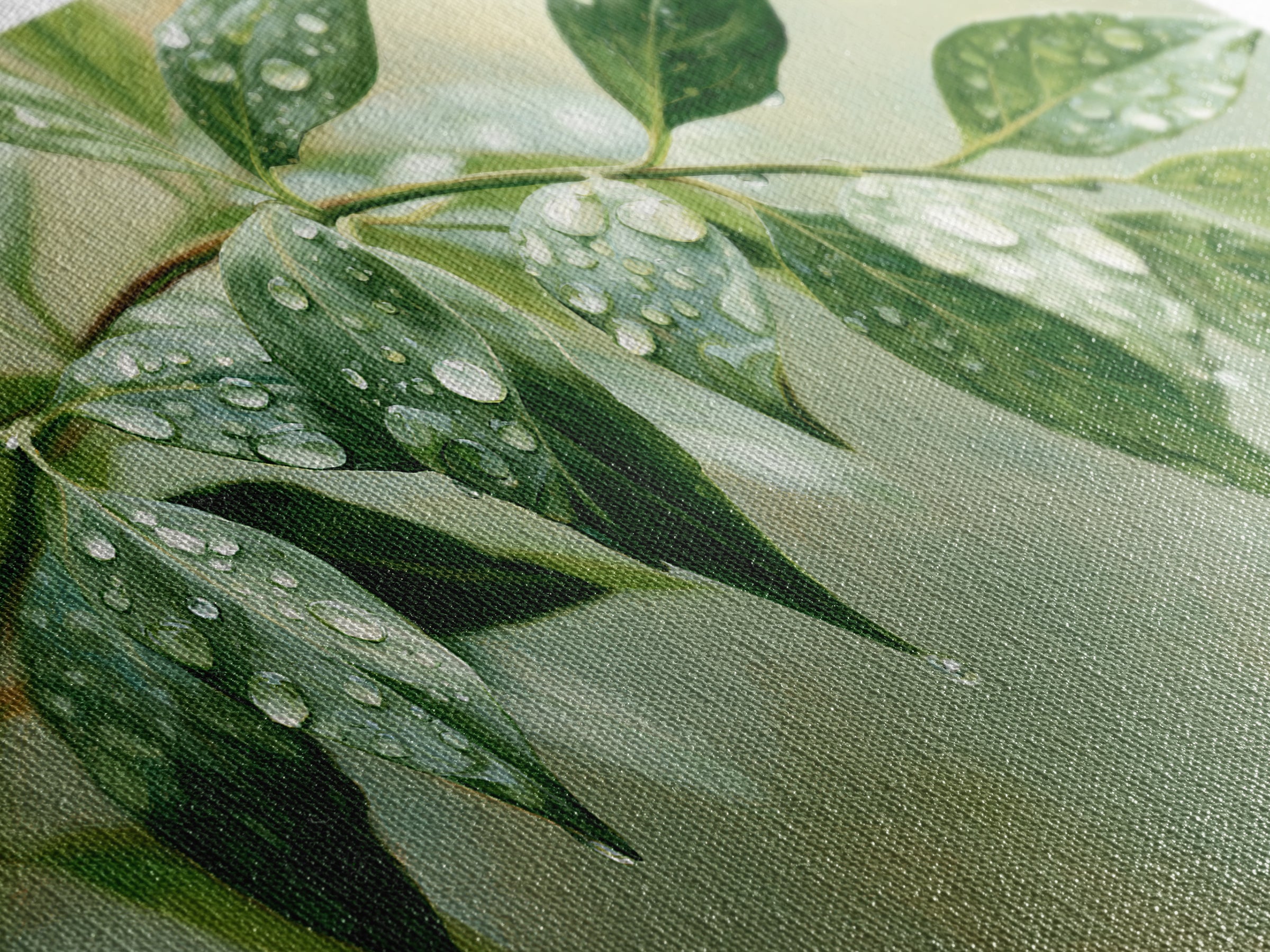 Rain on Leaves Framed Canvas Print, Spa Art, Animal Art, Spa Decor, Fine Art, Serenity, Gallery Decor, Neutral Decor, SPA-2x1-84
