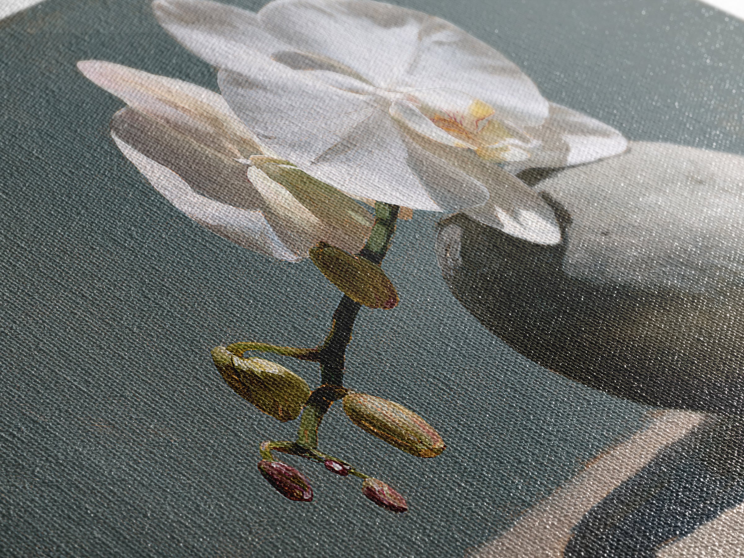 White Orchid on Smooth Gray Stone Canvas Print, Spa Art, Botanical Art, Spa Decor, Fine Art, Serenity, Fashion Wall Art, SPA-2x1-94